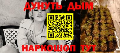 прущие крисы Партизанск